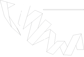 ANAM logo